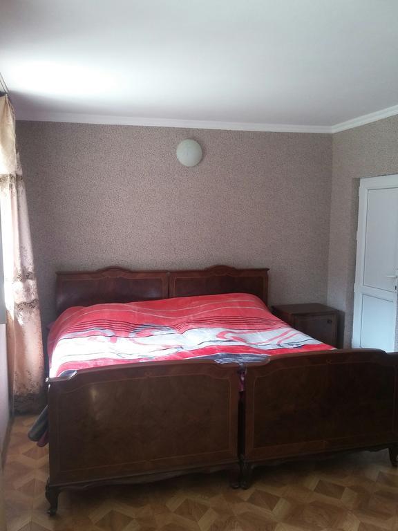 Guest House Adelina Mestia Bagian luar foto