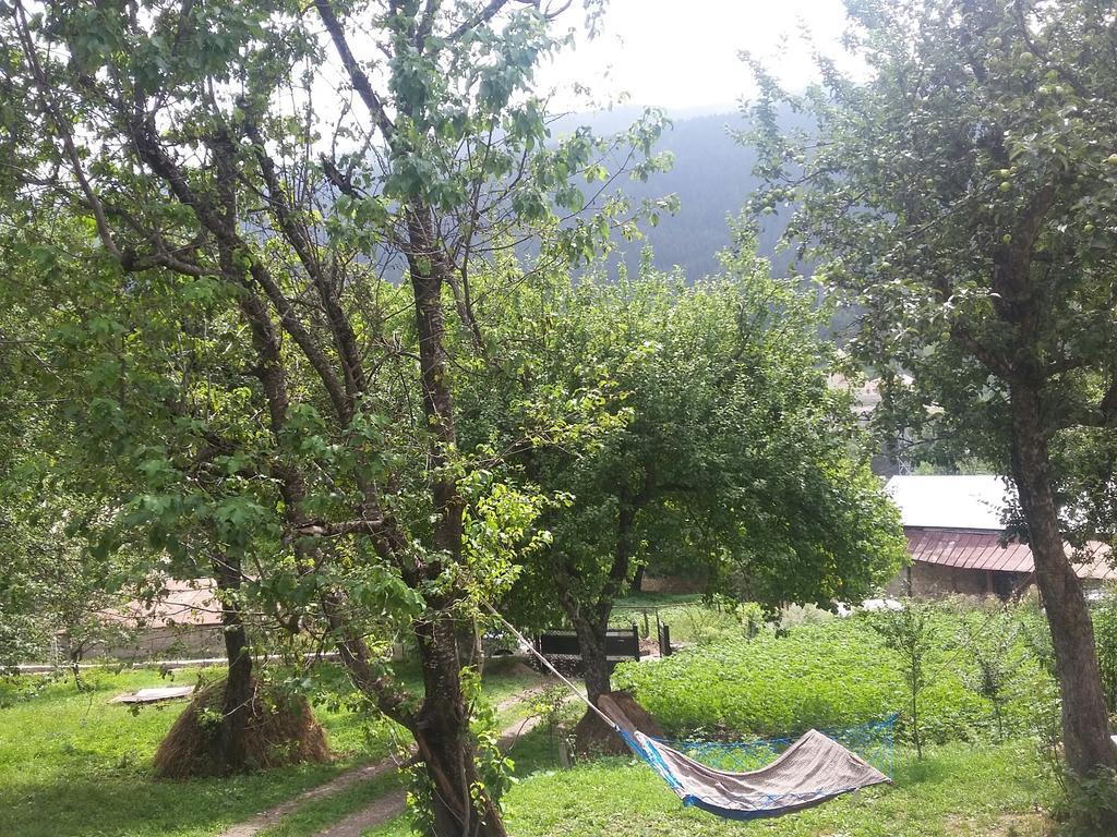 Guest House Adelina Mestia Bagian luar foto
