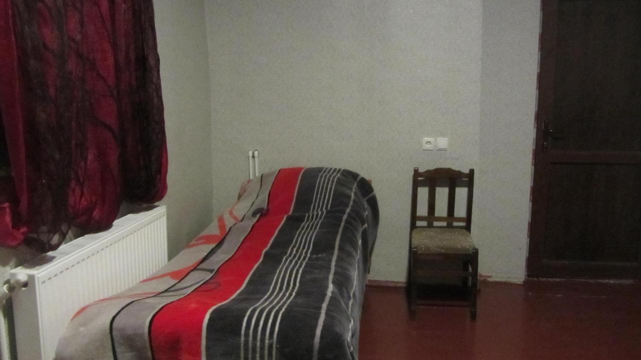 Guest House Adelina Mestia Bagian luar foto