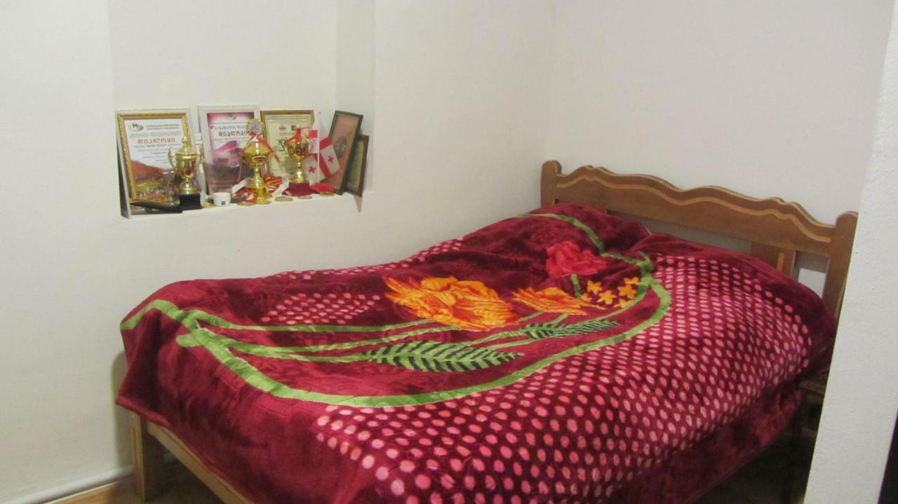 Guest House Adelina Mestia Bagian luar foto